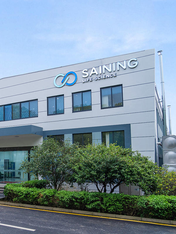 factory of Saining Bio